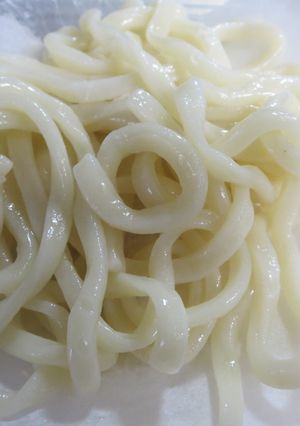 自家製うどん麺「加ト吉風」-レシピのメイン写真