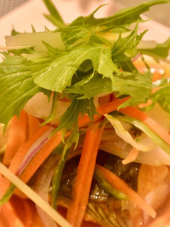 鯖のカレー煮込みサラダ仕立て-レシピのメイン写真