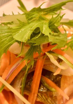 鯖のカレー煮込みサラダ仕立て-レシピのメイン写真