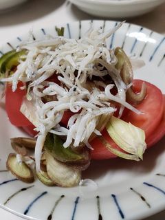 トマトのしらす茗荷乗せ♪-レシピのメイン写真