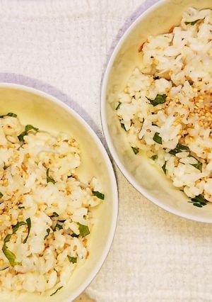 簡単お手軽！夏にさっぱり！梅シラスご飯-レシピのメイン写真