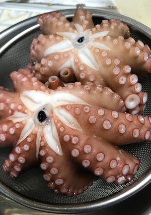 タコ刺し-レシピのメイン写真