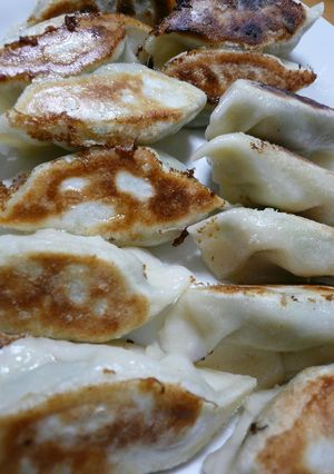 餃子の焼き方-レシピのメイン写真