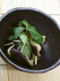 なすの和え物(腎臓病食)-レシピのメイン写真