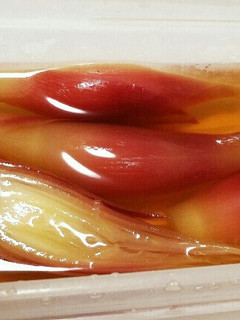 【簡単・つくおき】みょうがの甘酢漬け♪-レシピのメイン写真