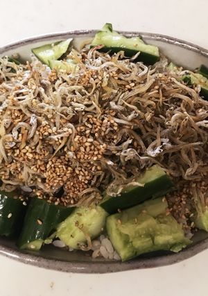 カリカリちりめんじゃことたたききゅうり丼-レシピのメイン写真