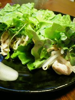 ★☆サンチュで巻き②冷しゃぶサラダ☆★-レシピのメイン写真
