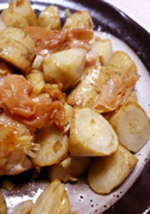 梅酢ですっきり、ごぼうと鶏肉炒め-レシピのメイン写真