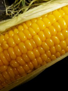 レンジで簡単甘くてツヤツヤなトウモロコシ-レシピのメイン写真