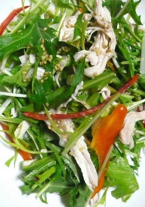 蒸し鶏のサラダ✿さっぱりドレッシング-レシピのメイン写真