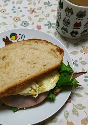 朝食に！全粒粉パンのサンドイッチ-レシピのメイン写真