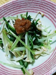 梅干しと水菜のさっぱりおひたし!-レシピのメイン写真