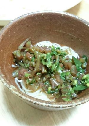 野草レシピ★ねばねば‼スベリヒユそうめん-レシピのメイン写真