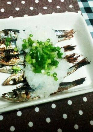 焼きウルメは大根おろしにレモン！-レシピのメイン写真