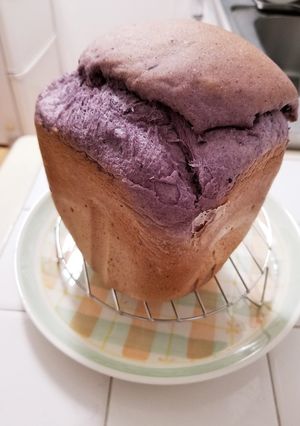 ブルーベリーパン-レシピのメイン写真