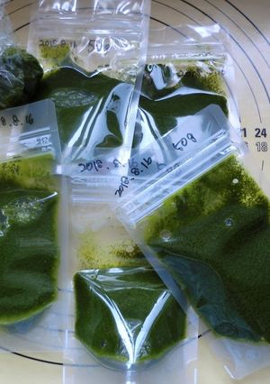 バジルソース（冷凍保存用）-レシピのメイン写真
