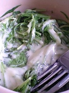 おつまみ水菜-レシピのメイン写真