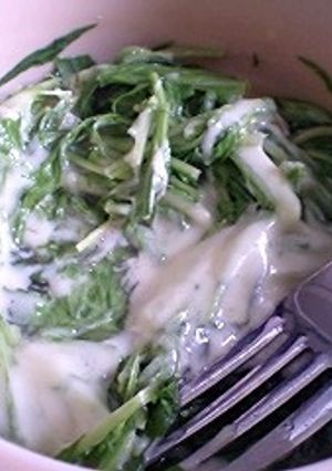おつまみ水菜-レシピのメイン写真