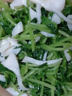 簡単☆豆苗の和え物-レシピのメイン写真