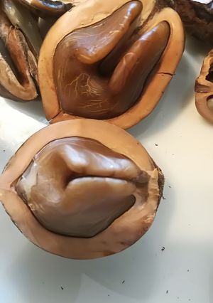 オニグルミ剥いたった♪( ﾟ∀ﾟ)-レシピのメイン写真