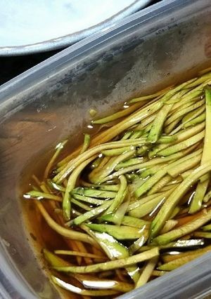 おつまみに☆ツーンと本わさびの醤油漬け-レシピのメイン写真