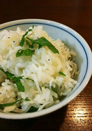 大葉としらすとの混ぜご飯-レシピのメイン写真