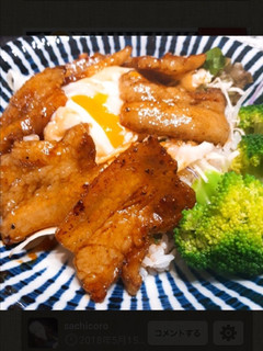 豚丼-レシピのメイン写真