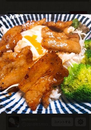 豚丼-レシピのメイン写真