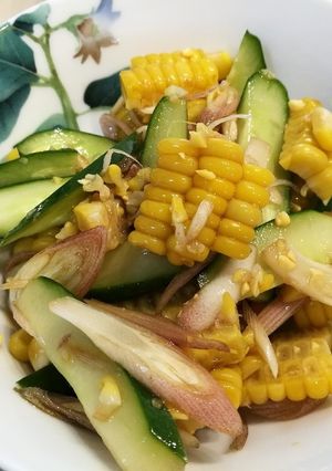 みょうが美味しい！夏野菜サラダ-レシピのメイン写真