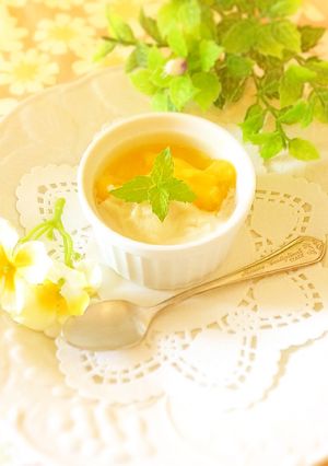 オレンジジュースでジェラート(アイス)-レシピのメイン写真