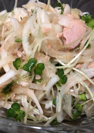 さっぱりカイワレサラダ-レシピのメイン写真