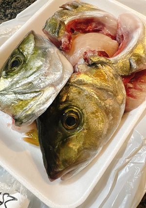 フュメドポワソン(魚介の出汁)-レシピのメイン写真