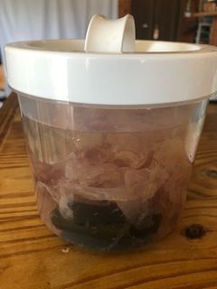 簡単、水出し出し汁-レシピのメイン写真