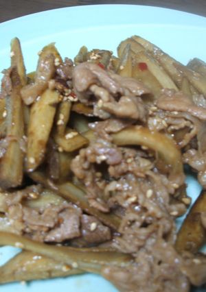 ご飯のすすむ豚ゴボウ☆-レシピのメイン写真