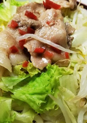 冷し野菜サラダうどん豚バラさっぱりダレ-レシピのメイン写真