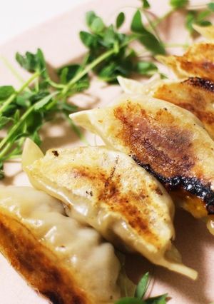 1日の1/3の野菜がとれるベジぎょうざ-レシピのメイン写真
