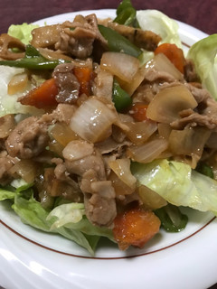 豚肉甘辛丼-レシピのメイン写真