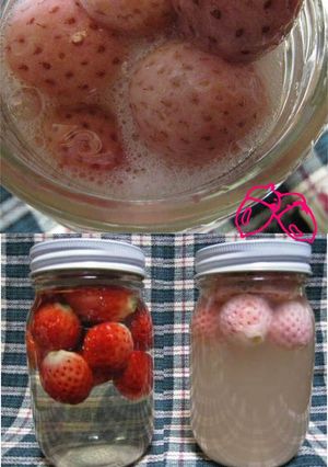 ♥♡フルーツ de 自家製酵母♡♥-レシピのメイン写真