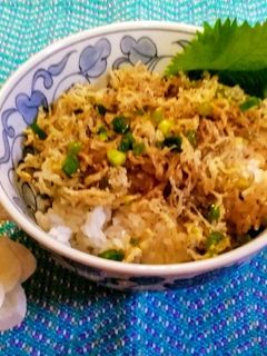 めちゃ旨~!釜揚げしらすのかき揚げ丼♪-レシピのメイン写真