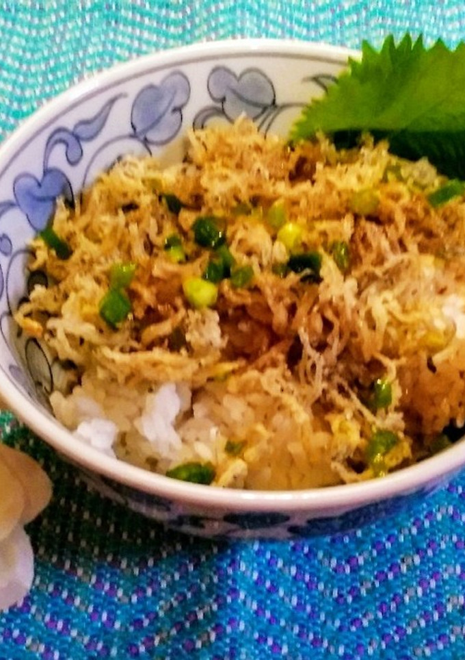 めちゃ旨～！釜揚げしらすのかき揚げ丼♪-レシピのメイン写真