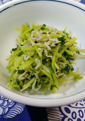 豆苗とジャコの強烈しょうが和え-レシピのメイン写真
