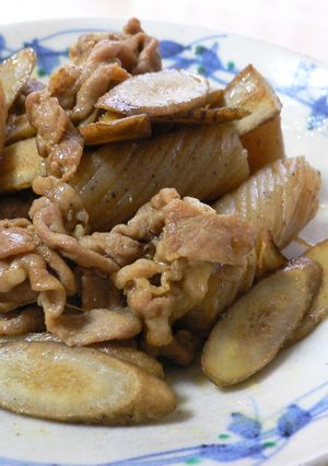 豚肉とごぼうのオイスターカレー炒め★-レシピのメイン写真