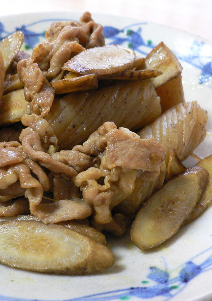 豚肉とごぼうのオイスターカレー炒め★-レシピのメイン写真