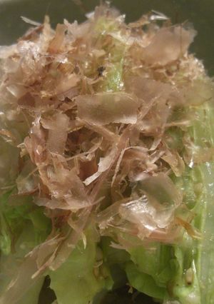 白菜おかか-レシピのメイン写真