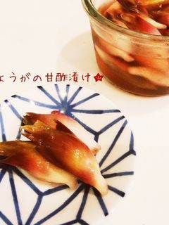 みょうがの甘酢漬け☆-レシピのメイン写真