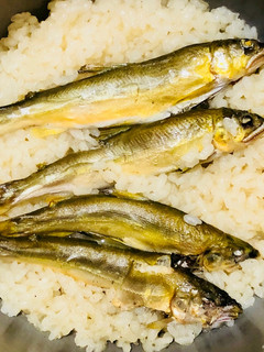残った塩焼と炊飯器de鮎飯-レシピのメイン写真