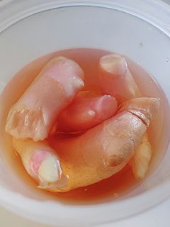 新生姜のさし酢漬け-レシピのメイン写真