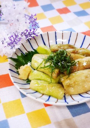 夏に涼しげ~焼きなすより簡単☆水晶なす-レシピのメイン写真