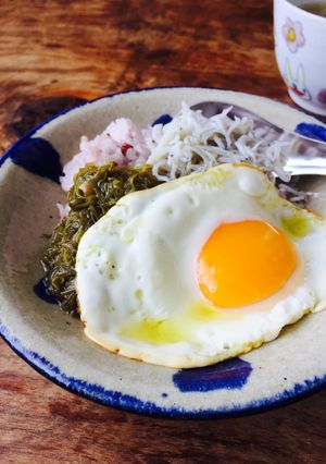目玉焼き丼にめかぶ・しらす☆-レシピのメイン写真