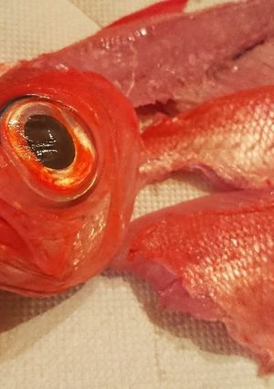 鯛の三枚おろし-レシピのメイン写真